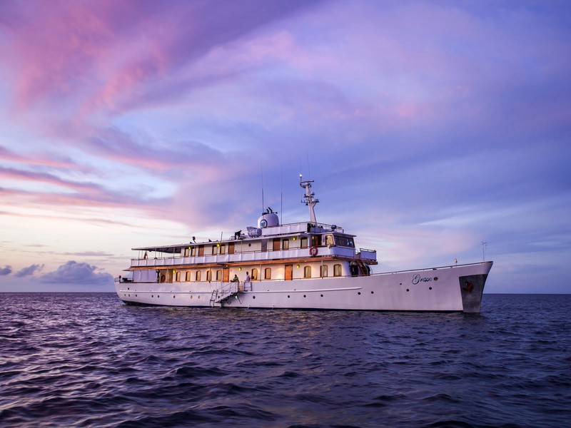 Das Schiff