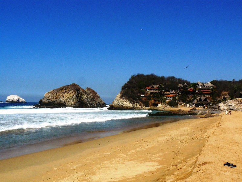 Mazunte National Mexican Turtle Center