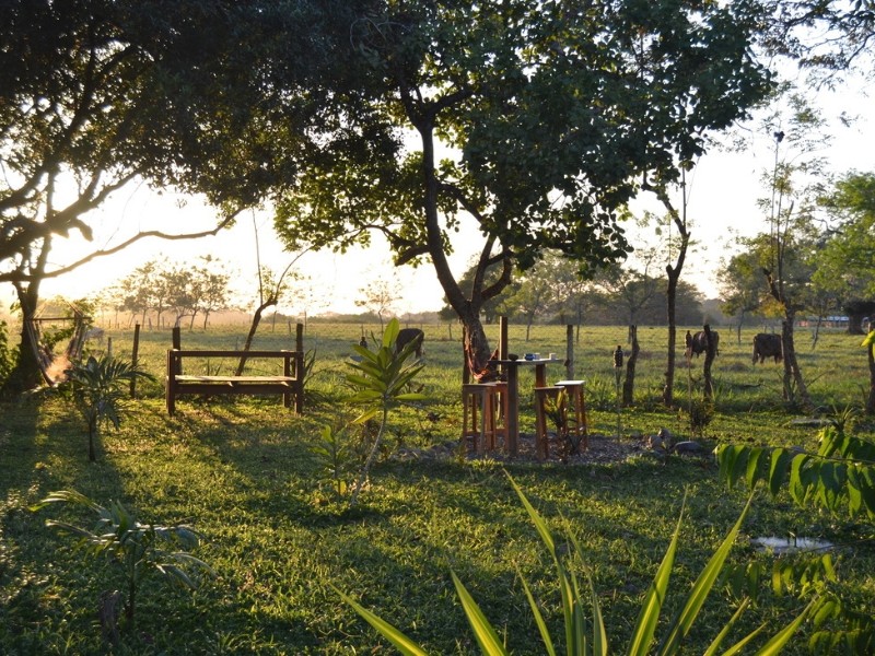 Naturalmente  - Garten