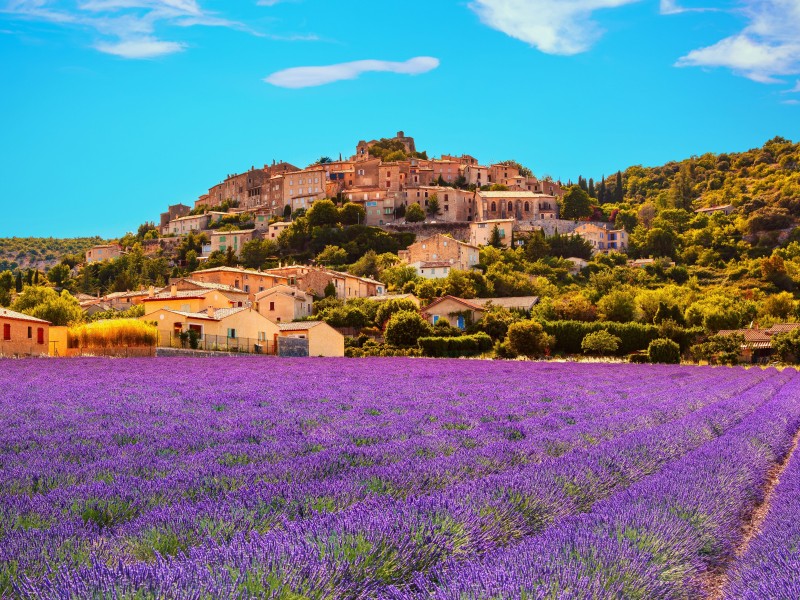 Provence & Camargue