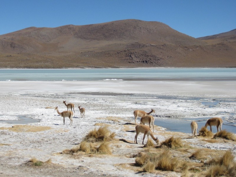 Salar de Uyuni