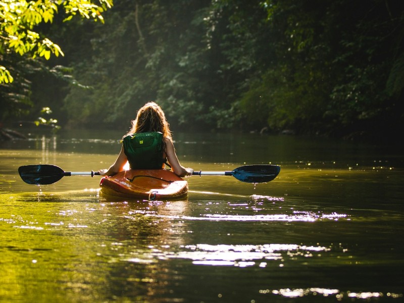 Paddle through mangrove