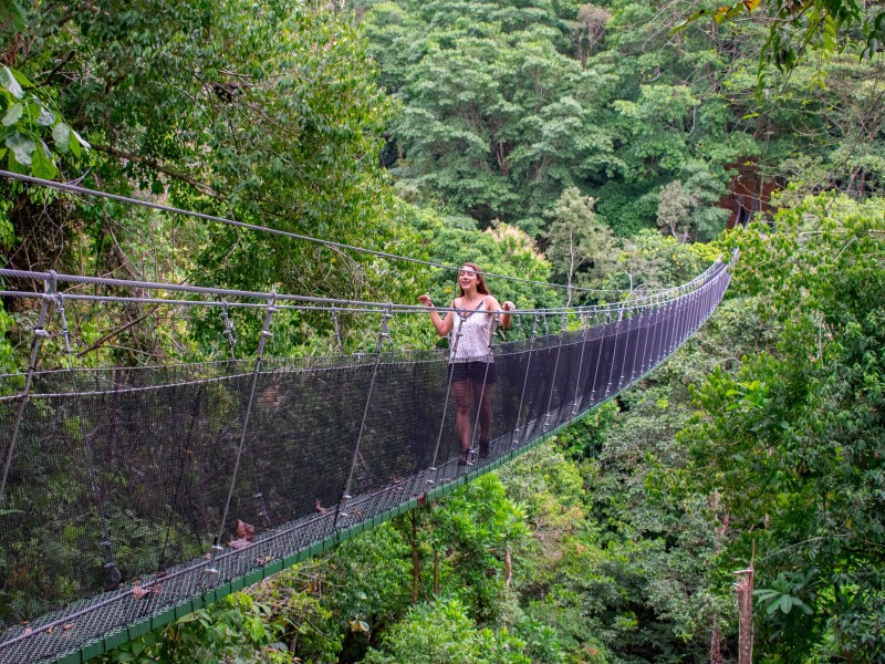Los Campesinos - Hängebrücke
