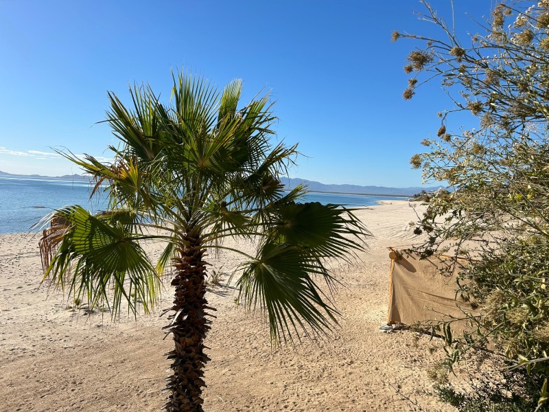 Ventana Bay Resort - Strand