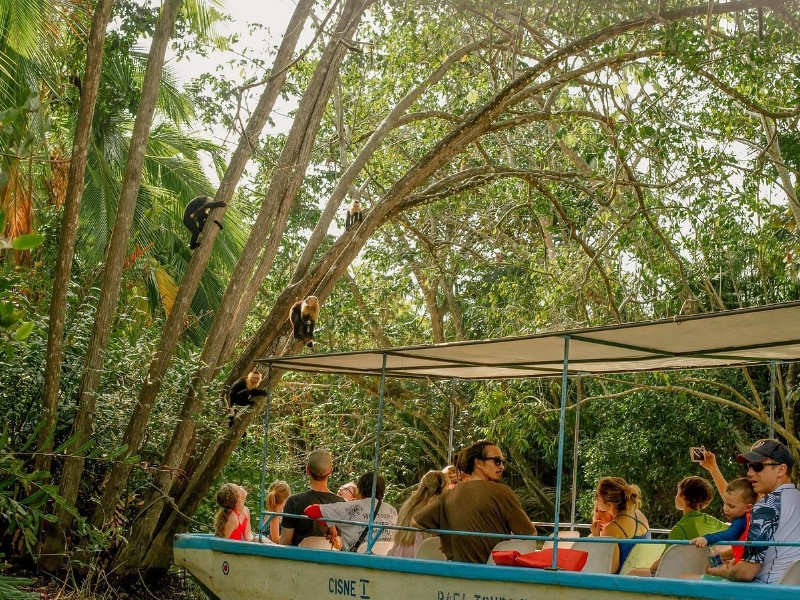 Mangrove Boat Tour Damas Island