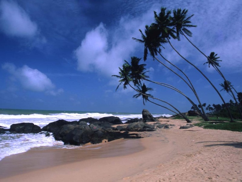 Beach Sri Lanka