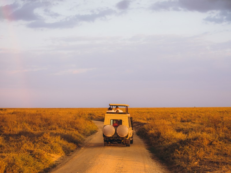 Safari - Serengeti - Tansania