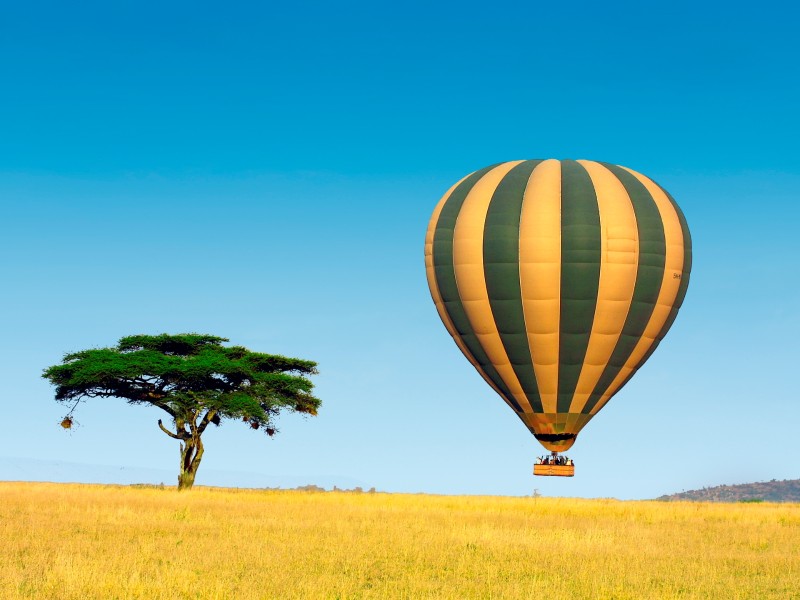 Ballonsafari - unvergessliches Erlebnis