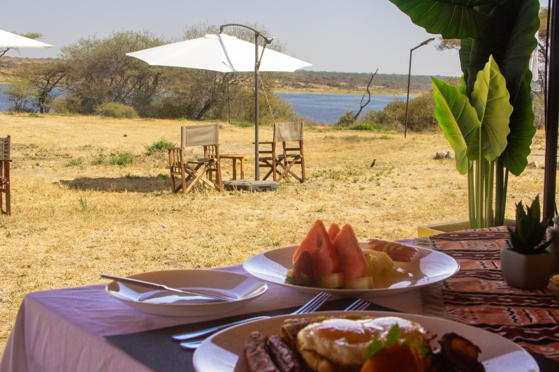 Africa Safari Serengeti Ndutu