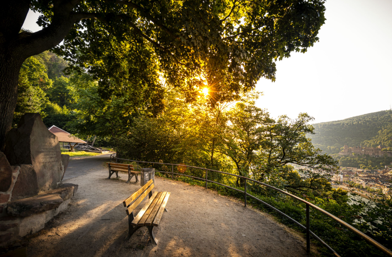 Philosopher’s Walk Heidelberg