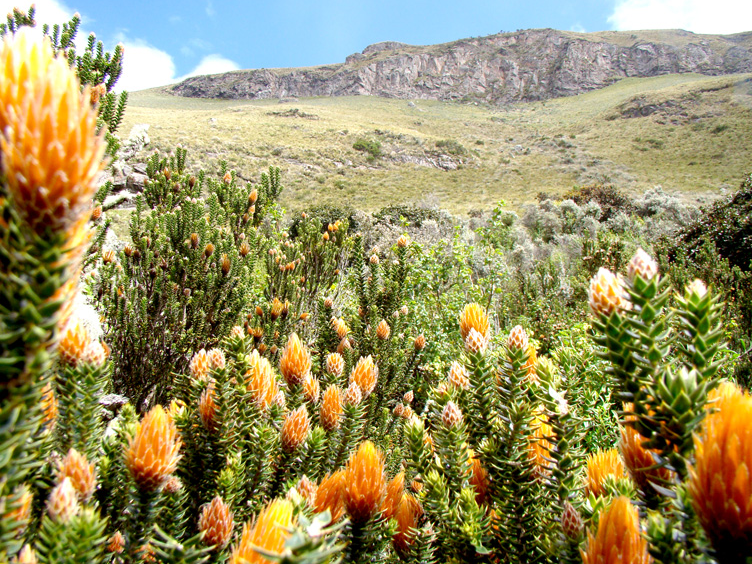 Wunderschöne Umgebung