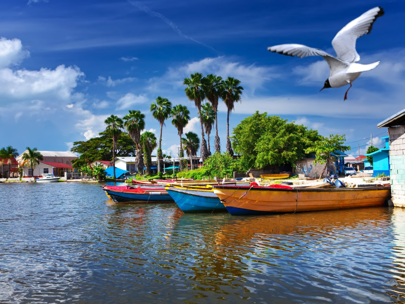 Boats on the Black River