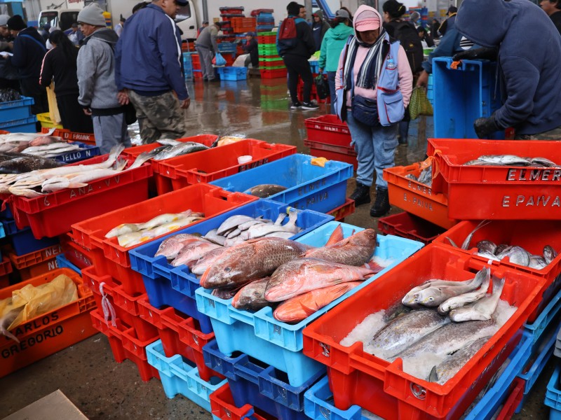 Auf dem Fischmarkt in Lima