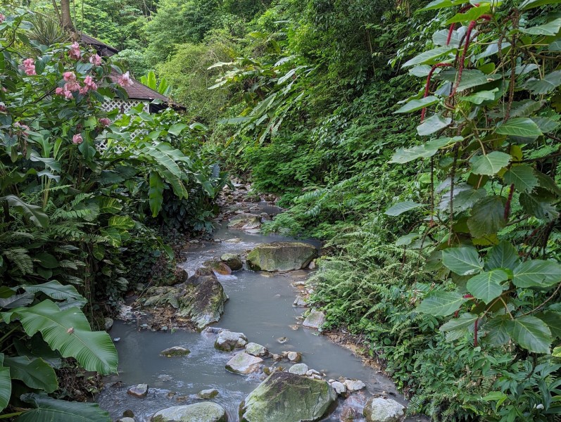 Diamond Botanical Garden