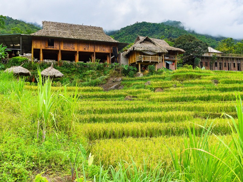 Vietnam - Pu Luong Nature Reserve