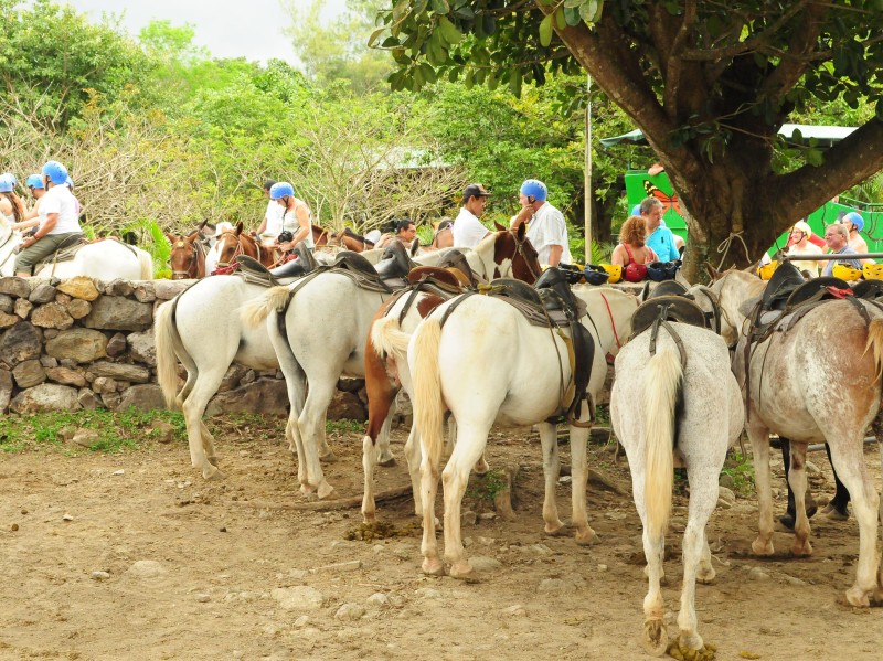 Buena Vista Lodge - Reitausflug