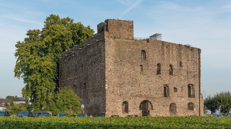 Brömserburg Castle