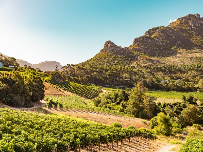 Südafrika - Weinregion