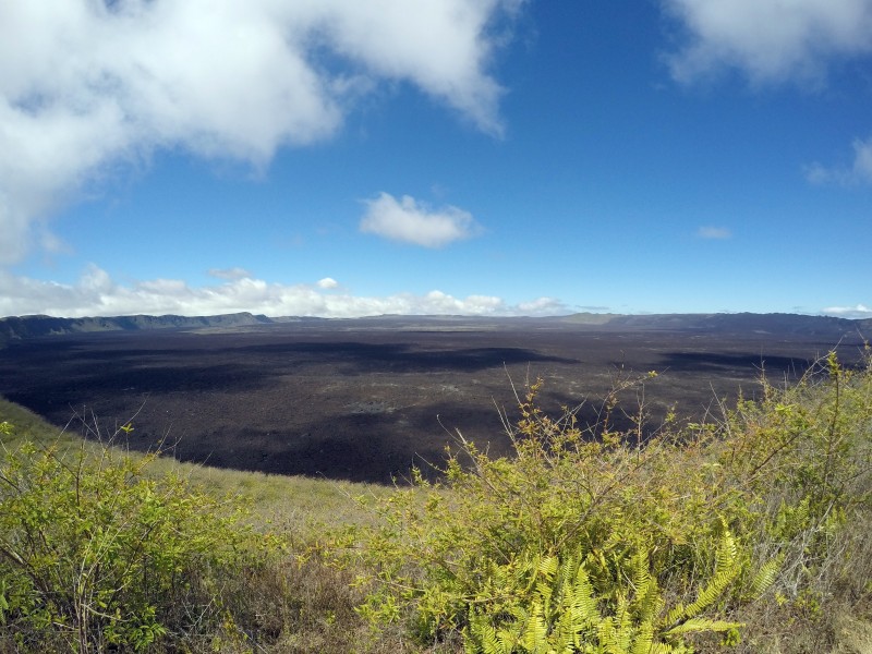 Sierra Negra Volcano