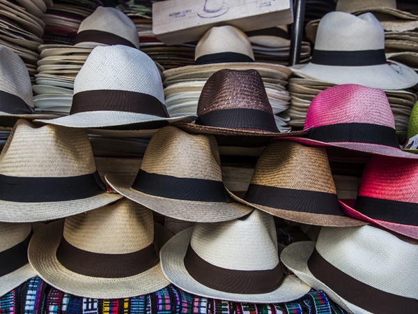 Panamahut aus Cuenca