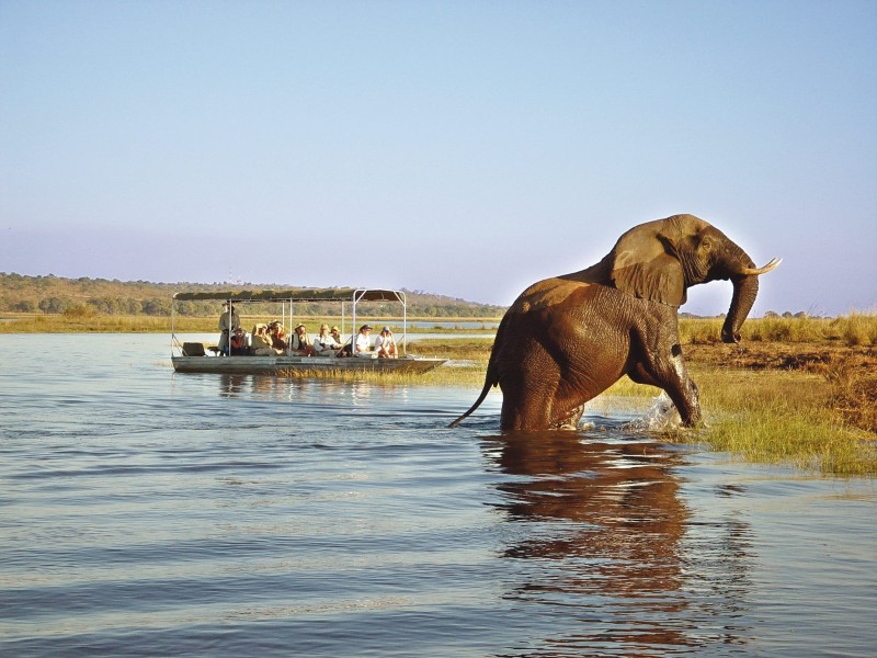 Botswana - Chobe-rivier