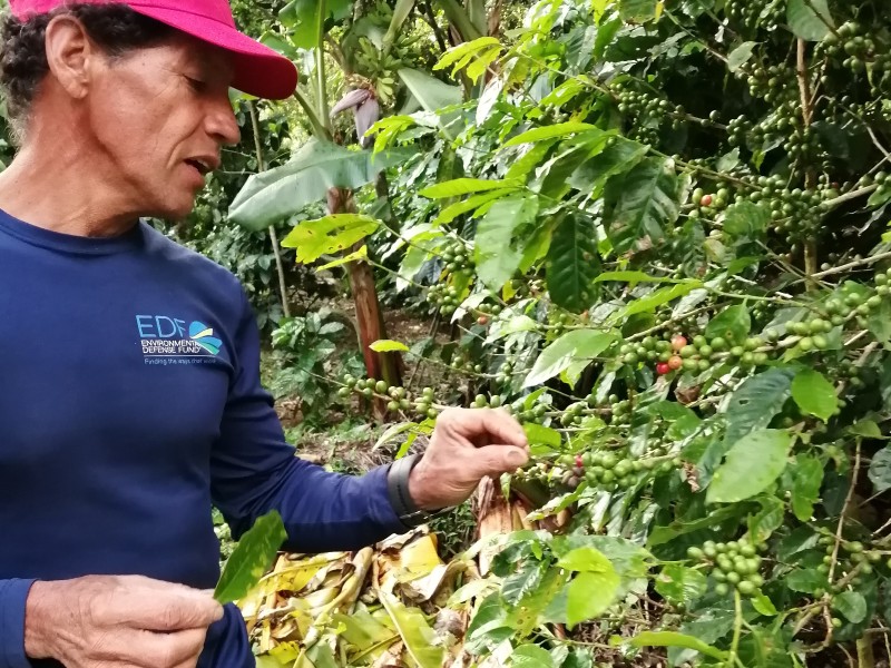 Landwirt für ein Tag