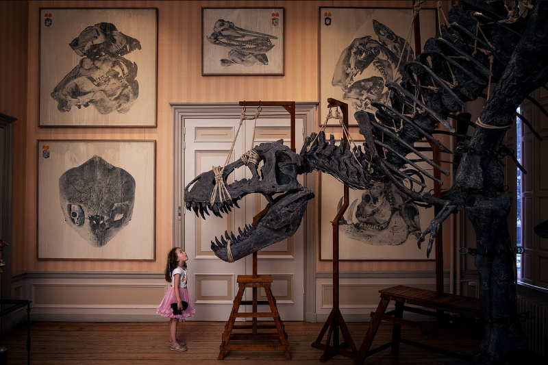 ARTIS Zoo and Museum, Amsterdam
