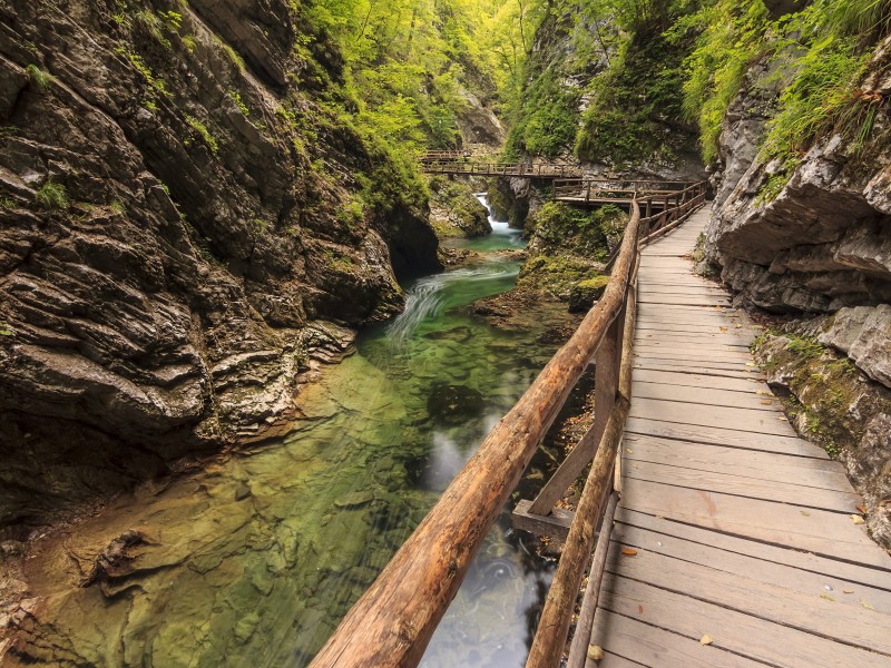 Slovenia - Lake Bled