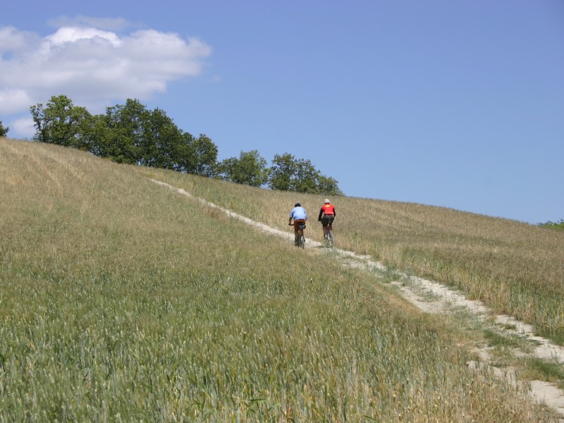 Val d’Orcia on MTB