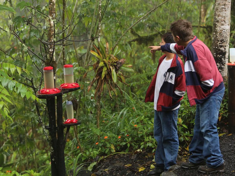 Den Nebelwald entdecken