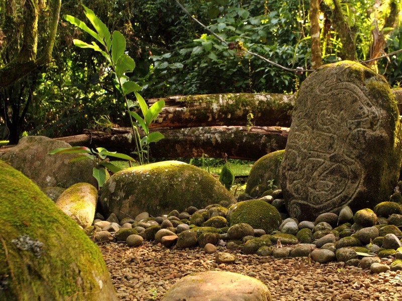 Sarapiquis Rainforest Lodge - Park