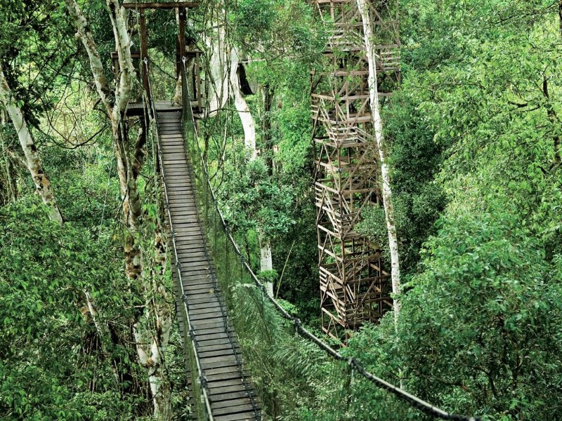 Reserva Amazonica - Canopy-Trail