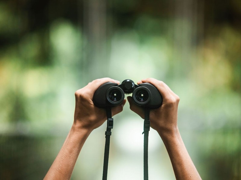 Monteverde - Tierbeobachtung