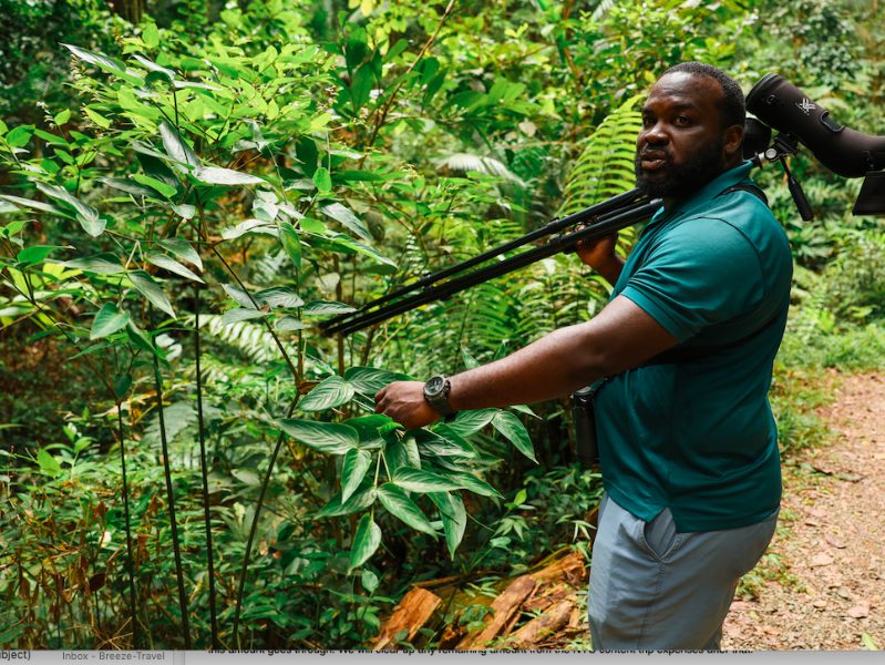 Tobago Main Ridge Forest