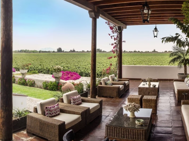 Viñas Queirolo_Patio