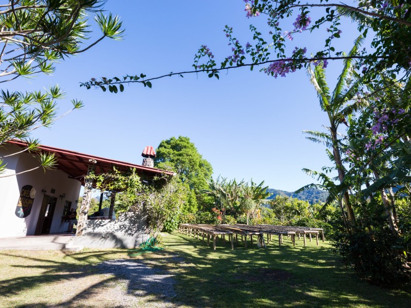 Boquete - FInca Dos Jefes