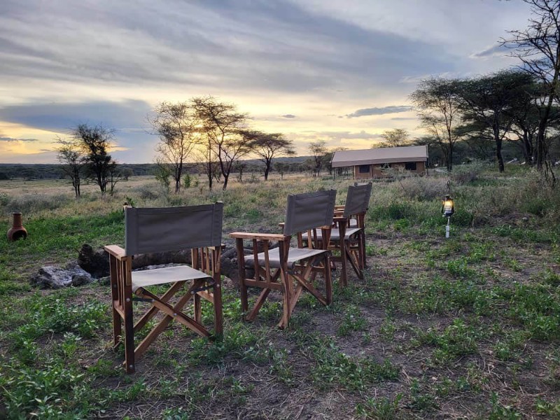  Africa Safari Kusini Luxury Glamping