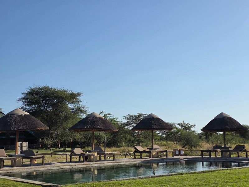 Africa Safari Serengeti Ikoma 