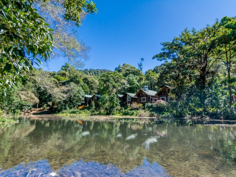 Sueños del Bosque - See