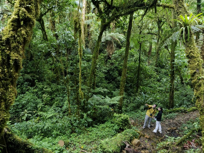 Savegre Hotel - Vogelbeobachtung