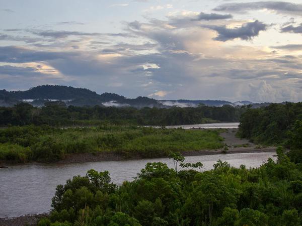 Im Amazonasgebiet bei Tena