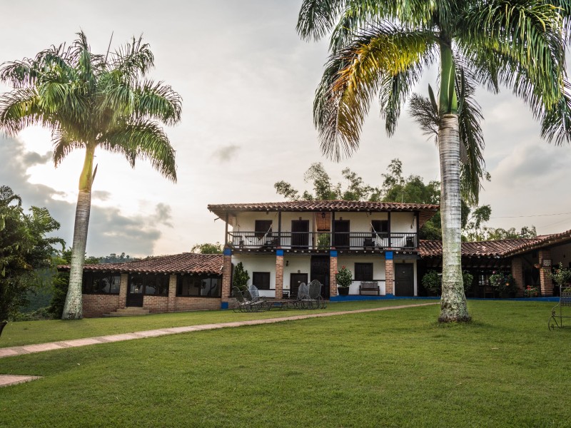 El Bosque del Samán