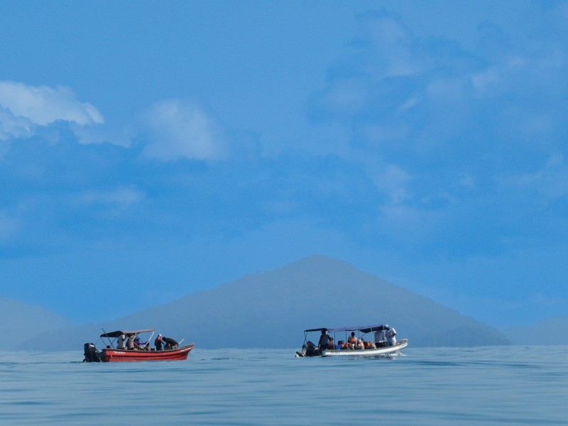 Boat Trip