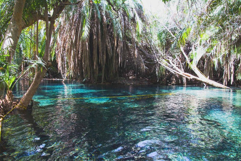 Kikuletwa Hot Springs near Arusha