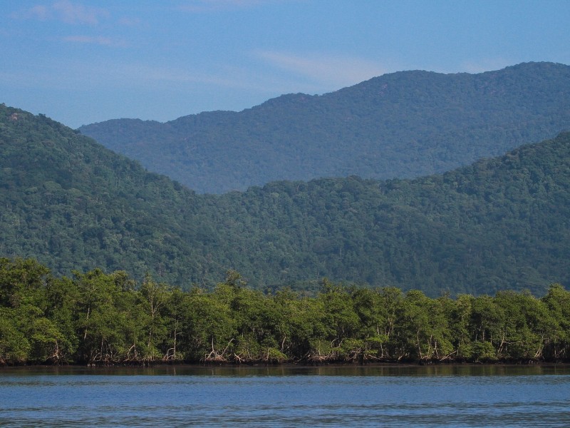 Atlantic Rainforest