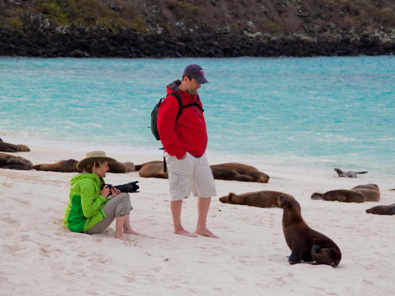 Den Tieren unglaublich nah