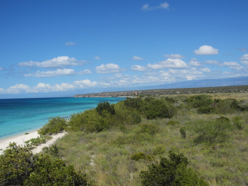 Bahia de las Aguilas - Küste