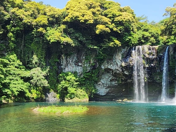 South Jeju Guided Tour