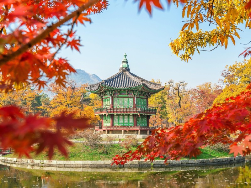 Seoul Nature