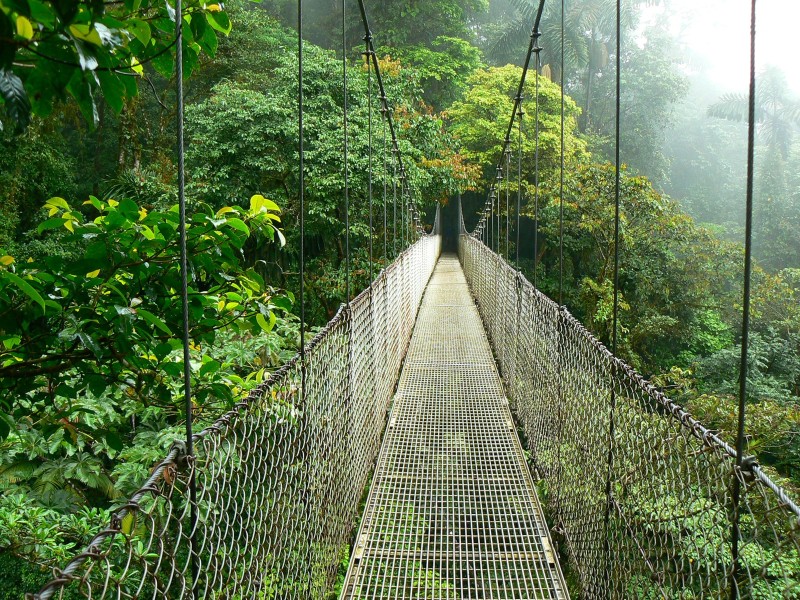 Monteverde - Hängebrücke